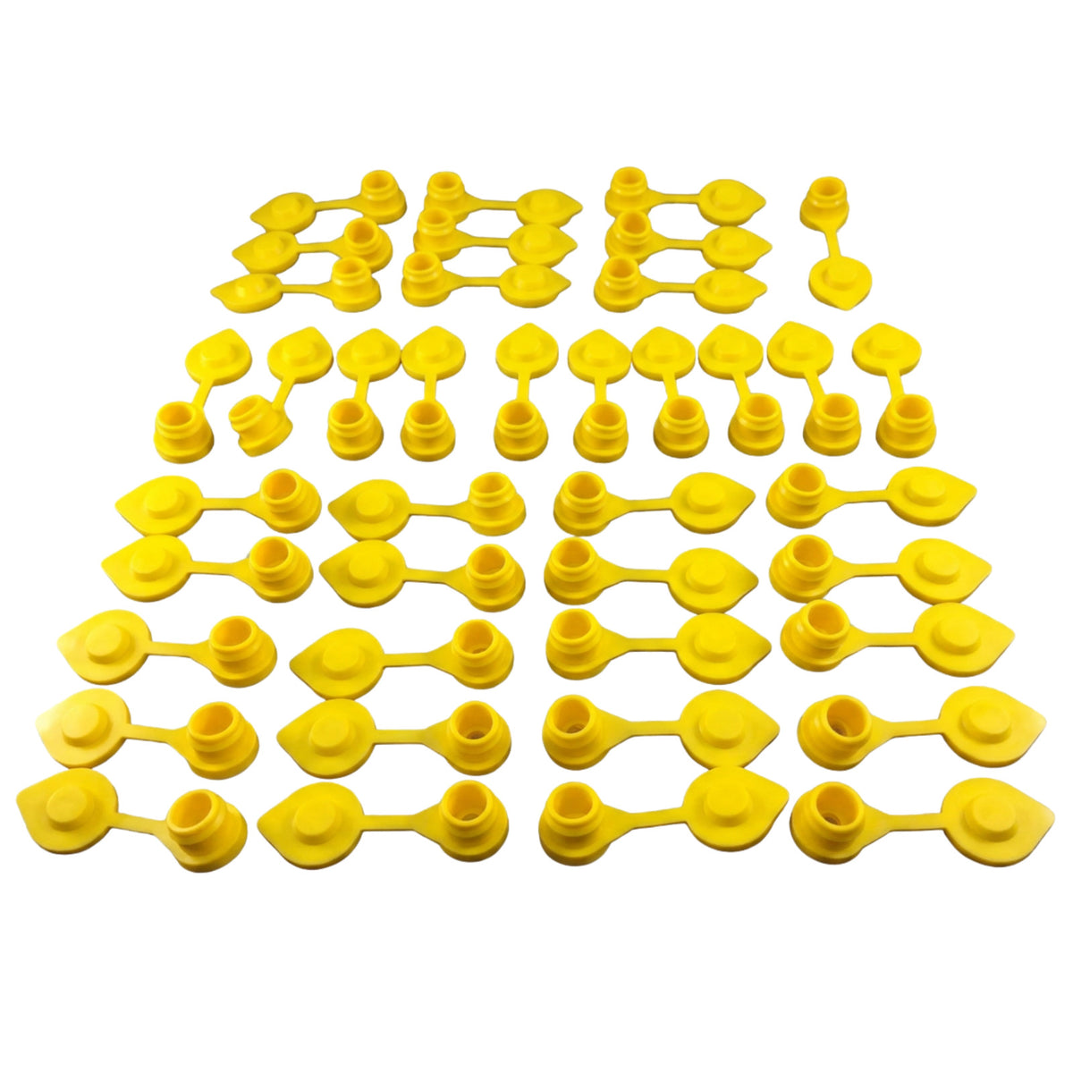40 Pack
